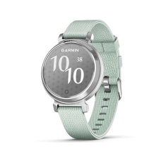 Garmin Lily 2 Classic 38 mm Silver / Sage Gray Nylon Band
